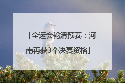 全运会轮滑预赛：河南再获3个决赛资格