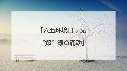 六五环境日，见“郑”绿意涌动
