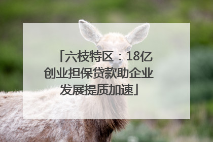 六枝特区：18亿创业担保贷款助企业发展提质加速