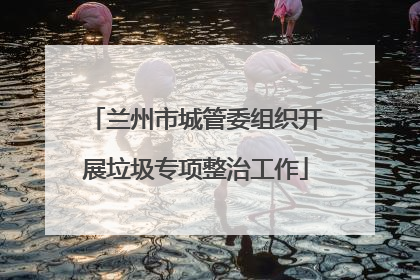 兰州市城管委组织开展垃圾专项整治工作