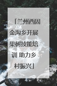 兰州西固金沟乡开展果树技能培训 助力乡村振兴