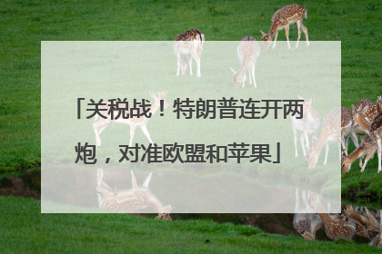 关税战！特朗普连开两炮，对准欧盟和苹果