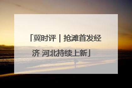 冀时评｜抢滩首发经济 河北持续上新