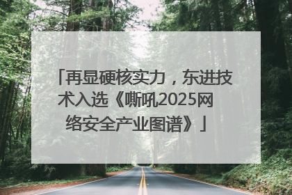 再显硬核实力，东进技术入选《嘶吼2025网络安全产业图谱》