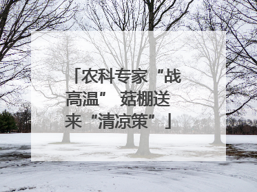 农科专家“战高温” 菇棚送来“清凉策”