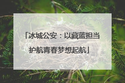 冰城公安：以藏蓝担当 护航青春梦想起航