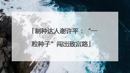 制种达人谢许平：“一粒种子”闯出致富路