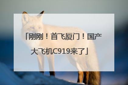 刚刚！首飞厦门！国产大飞机C919来了