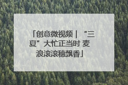 创意微视频｜“三夏”大忙正当时 麦浪滚滚穗飘香