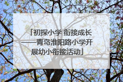 初探小学 衔接成长——青岛淮阳路小学开展幼小衔接活动