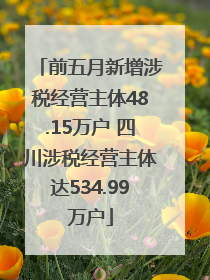 前五月新增涉税经营主体48.15万户 四川涉税经营主体达534.99万户