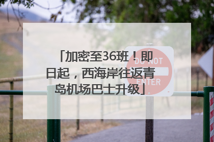 加密至36班！即日起，西海岸往返青岛机场巴士升级