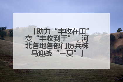 助力“丰收在田”变“丰收到手”，河北各地各部门厉兵秣马迎战“三夏”