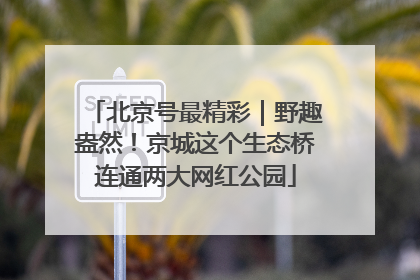 北京号最精彩｜野趣盎然！京城这个生态桥连通两大网红公园