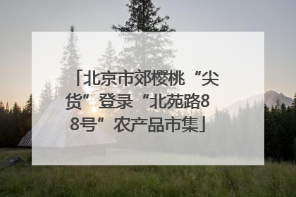北京市郊樱桃“尖货”登录“北苑路88号”农产品市集