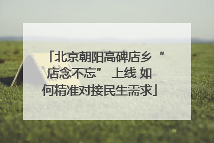 北京朝阳高碑店乡“店念不忘” 上线 如何精准对接民生需求