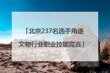 北京237名选手角逐文物行业职业技能竞赛