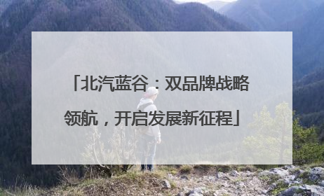 北汽蓝谷：双品牌战略领航，开启发展新征程