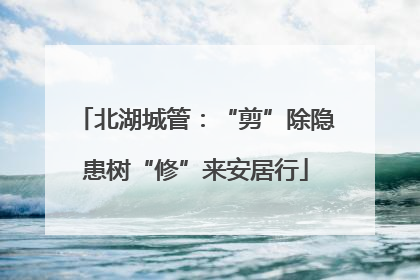 北湖城管：“剪”除隐患树“修”来安居行