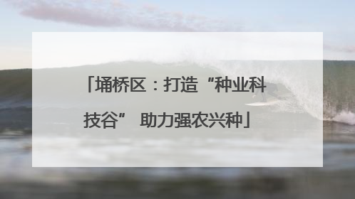 埇桥区：打造“种业科技谷” 助力强农兴种