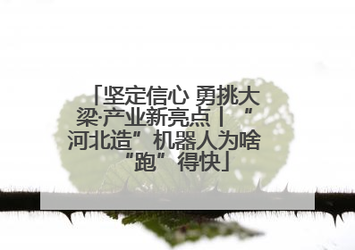 坚定信心 勇挑大梁·产业新亮点丨“河北造”机器人为啥“跑”得快