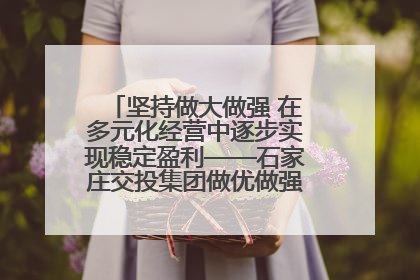 坚持做大做强 在多元化经营中逐步实现稳定盈利——石家庄交投集团做优做强典型报道之三