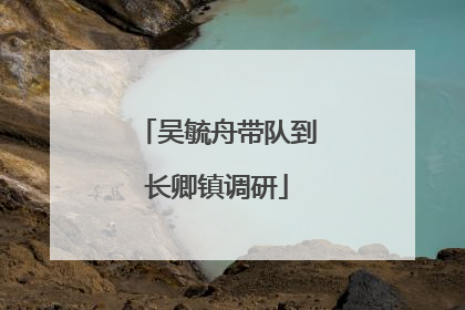 吴毓舟带队到长卿镇调研