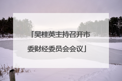 吴桂英主持召开市委财经委员会会议