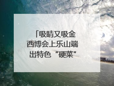 吸睛又吸金 西博会上乐山端出特色“硬菜”｜西博视界