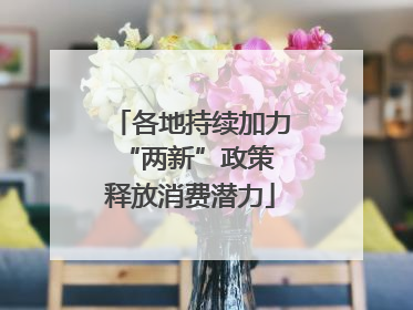 各地持续加力“两新”政策 释放消费潜力