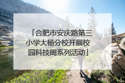 合肥市安庆路第三小学大杨分校开展校园科技周系列活动