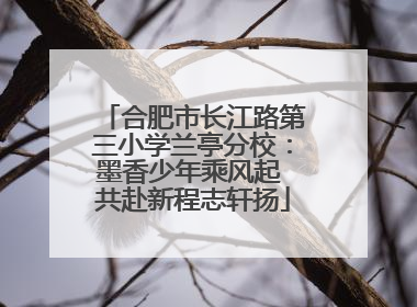 合肥市长江路第三小学兰亭分校：墨香少年乘风起 共赴新程志轩扬