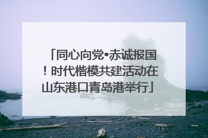 同心向党•赤诚报国！时代楷模共建活动在山东港口青岛港举行