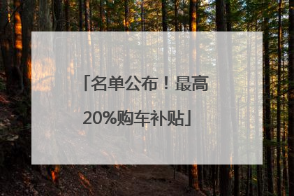 名单公布！最高20%购车补贴