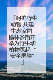 呵护野生动物 共建生态家园 榆林多措并举为野生动植物筑起“安全屏障”