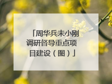 周华兵未小刚调研督导重点项目建设（图）