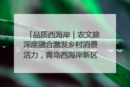 品质西海岸｜农文旅深度融合激发乡村消费活力，青岛西海岸新区的乡村振兴实践