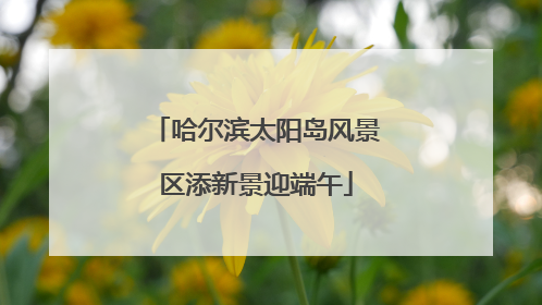 哈尔滨太阳岛风景区添新景迎端午