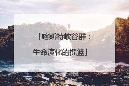 喀斯特峡谷群：生命演化的摇篮