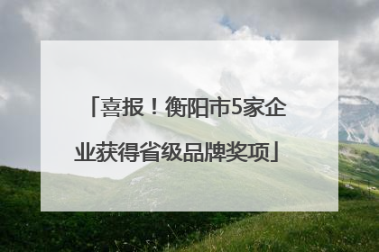 喜报！衡阳市5家企业获得省级品牌奖项