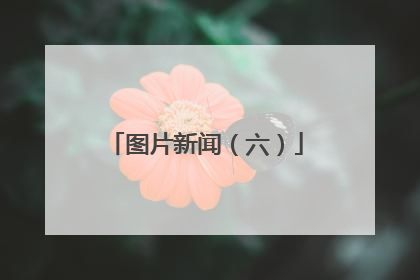 图片新闻（六）