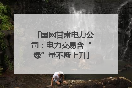 国网甘肃电力公司：电力交易含“绿”量不断上升