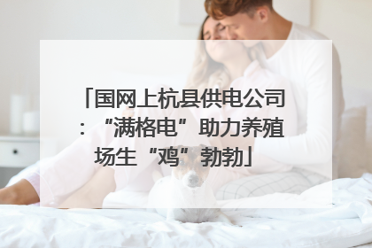 国网上杭县供电公司：“满格电”助力养殖场生“鸡”勃勃