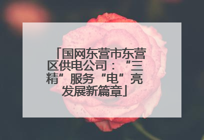 国网东营市东营区供电公司：“三精”服务“电”亮发展新篇章