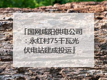 国网咸阳供电公司：永红村75千瓦光伏电站建成投运