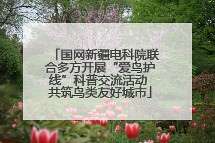 国网新疆电科院联合多方开展“爱鸟护线”科普交流活动 共筑鸟类友好城市