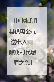 国网武胜县供电公司送电入田 解决村民燃眉之急