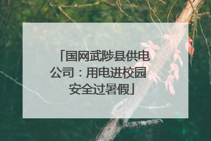 国网武陟县供电公司：用电进校园  安全过暑假