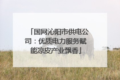 国网沁阳市供电公司：优质电力服务赋能凉皮产业飘香