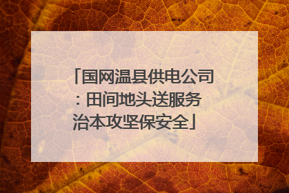 国网温县供电公司：田间地头送服务 治本攻坚保安全